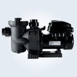 Jandy Vs FloPro Variable-Speed Pump 1.65 Hp 230V - with Jep-r Controller