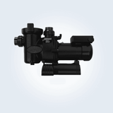 Jandy VS FloPro™ Pool Pump 1.65HP 115/230V without Controller